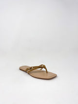 Cameron in Brown Sugar