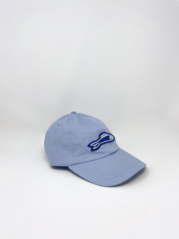 Baseball Hat in Baby Blue w/Cobalt Sardine Patch - The Shoe Hive