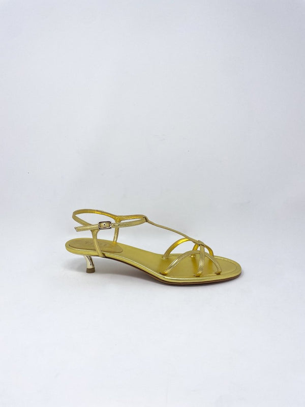 Christoper in Gold - The Shoe Hive