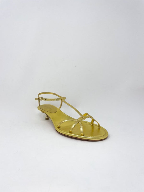 Christoper in Gold - The Shoe Hive