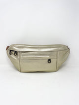 Cross Your Heart Sling Bag in Platinum Leather - The Shoe Hive