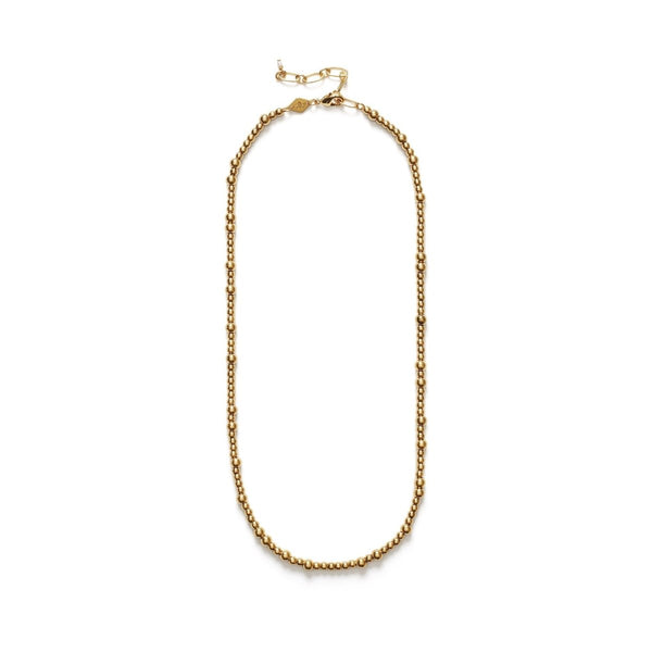 Slim Goldie Necklace - The Shoe Hive