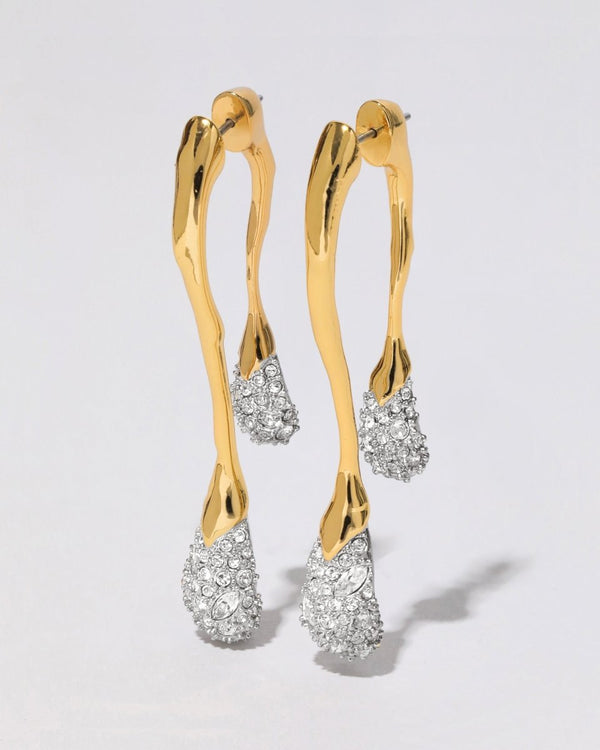 Solanales Crystal Silver Leverback Earring - The Shoe Hive