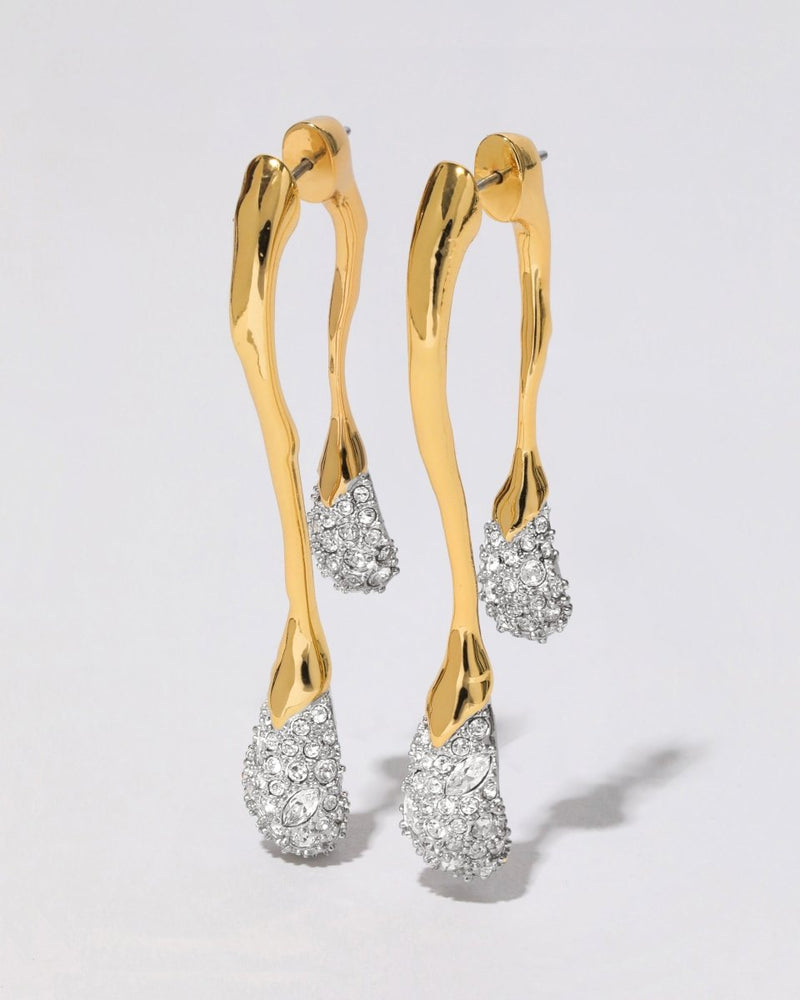 Solanales Crystal Silver Leverback Earring - The Shoe Hive