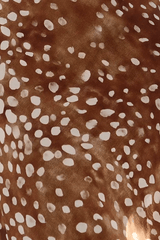 Suki Skirt in Dappled Doe - The Shoe Hive