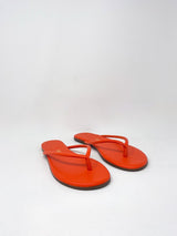 Tubular Lily in Citra - The Shoe Hive