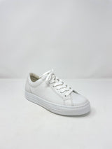 Saxton Sneaker in White Leather by Paul Green - The Shoe Hive