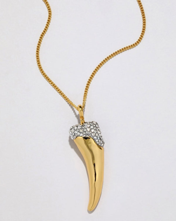 Solanales Crystal Horn Long Necklace - The Shoe Hive